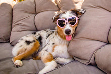 Charger l&#39;image dans la galerie, dog sunglasses