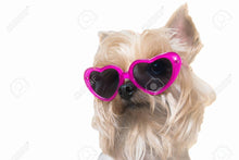 Charger l&#39;image dans la galerie, Fashion dog sunglasses shaped-heart 😍🐶💋 - PupiPlace