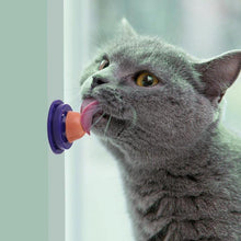Carica l&#39;immagine nel visualizzatore di Gallery, Tuna and Salmon cat sugar healthy snacks 🐟🐡🍭😽🐈 - PupiPlace