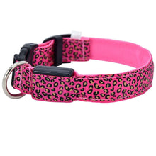 Carica l&#39;immagine nel visualizzatore di Gallery, The leopard dog led collar 🐯🐶🔥 - PupiPlace