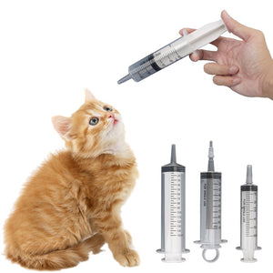 cat syringe feeder 