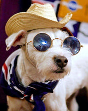 Cargar imagen en el visor de la galería, Classy dog/cat sunglasses in round shape 🤩😎😻 - PupiPlace