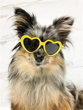 Carica l&#39;immagine nel visualizzatore di Gallery, Fashion dog sunglasses shaped-heart 😍🐶💋 - PupiPlace