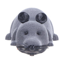 将图片加载到图库查看器，Remote Control Rat Toy for smart cat 🐀🐁🐈😼 - PupiPlace
