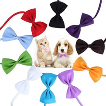 Carica l&#39;immagine nel visualizzatore di Gallery, Colorful cat/dog bow ties for fashion pets 🐶🎀😻 - PupiPlace
