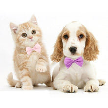 Cargar imagen en el visor de la galería, Colorful cat/dog bow ties for fashion pets 🐶🎀😻 - PupiPlace