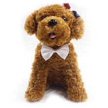 Cargar imagen en el visor de la galería, Colorful cat/dog bow ties for fashion pets 🐶🎀😻 - PupiPlace