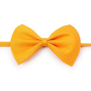 Colorful cat/dog bow ties for fashion pets 🐶🎀😻 - PupiPlace