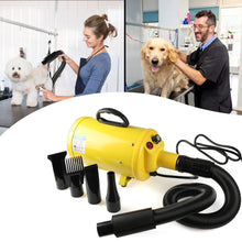 Load image into Gallery viewer, Pet hair Dryer With Heater US for blowing cat and dog fur 🐈🐩🦁 - PupiPlace