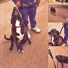 Cargar imagen en el visor de la galería, 1.5M dual handle dog leash : Ideal to train puppy to walk on a leash 🐶🦮🐕‍🦺🐩 - PupiPlace