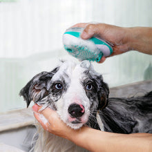 Load image into Gallery viewer, dog bath