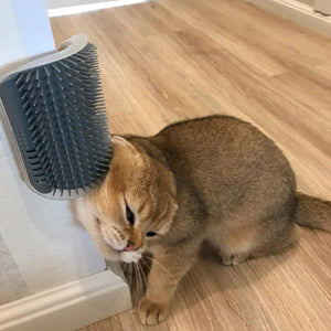 Self-Grooming corner massager cat comb 😻🧵🐈🐾 - PupiPlace