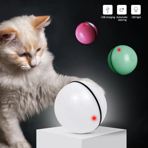  cat toy ball 
