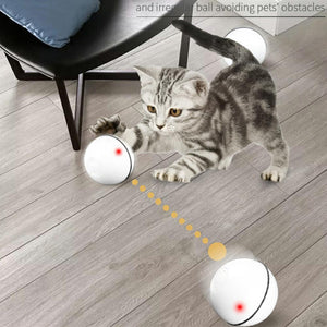 Interactive USB cat toy ball 🔮😻🐈 - PupiPlace