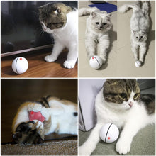 Load image into Gallery viewer, Interactive USB cat toy ball 🔮😻🐈 - PupiPlace