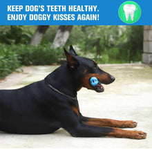 将图片加载到图库查看器，The dog tooth brush for dental care 🦷🐕‍🦺🐶🐾 - PupiPlace