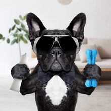 Cargar imagen en el visor de la galería, The dog tooth brush for dental care 🦷🐕‍🦺🐶🐾 - PupiPlace