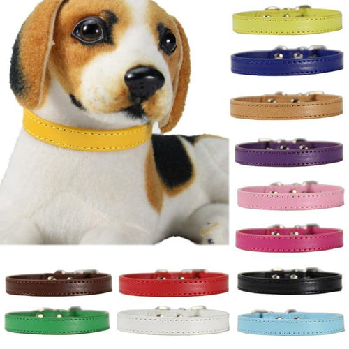 PU Leather color dog collars ❤️🧡💛🐶💜💚💙 - PupiPlace