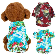 Cargar imagen en el visor de la galería, Cat and dog beach t-shirts for hot summer 😻🐶☀️🏖 - PupiPlace