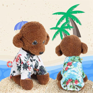 Cat and dog beach t-shirts for hot summer 😻🐶☀️🏖 - PupiPlace