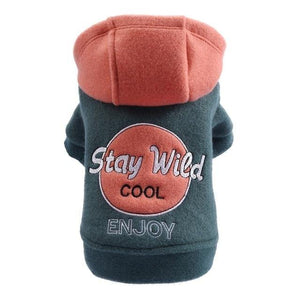 Puppy Hoodie for cool dogs '' Stay Wild Cool Enjoy ''  😎🐾🐶 - PupiPlace