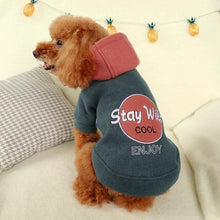 Load image into Gallery viewer, Puppy Hoodie for cool dogs &#39;&#39; Stay Wild Cool Enjoy &#39;&#39;  😎🐾🐶 - PupiPlace