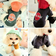 Load image into Gallery viewer, Puppy Hoodie for cool dogs &#39;&#39; Stay Wild Cool Enjoy &#39;&#39;  😎🐾🐶 - PupiPlace