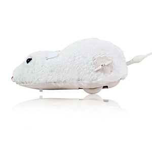 Funny plush mouse for cats 🐹🐈😸 - PupiPlace