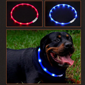 USB LED dog flashing collars 🐾🐶🖲⚡️🔥 - PupiPlace