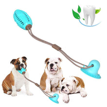 Charger l&#39;image dans la galerie, bite dog chewing ball 🐶👌🪀 - PupiPlace