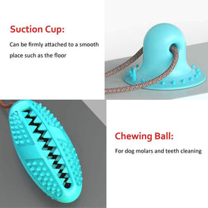 bite dog chewing ball 🐶👌🪀 - PupiPlace