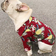 Load image into Gallery viewer, Cat and dog beach t-shirts for hot summer 😻🐶☀️🏖 - PupiPlace