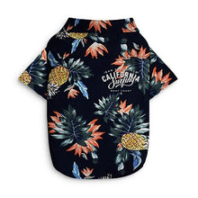 Cargar imagen en el visor de la galería, Cat and dog beach t-shirts for hot summer 😻🐶☀️🏖 - PupiPlace