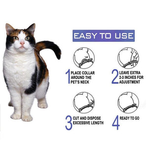 Calming Collar For Cats : helps reduce anxious cat symptoms 🙀😾😽🐈😌 - PupiPlace