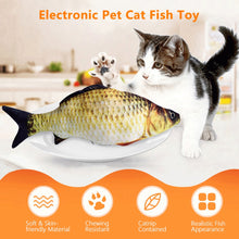 将图片加载到图库查看器，cat fish toy 