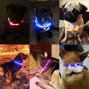 USB LED dog flashing collars 🐾🐶🖲⚡️🔥 - PupiPlace