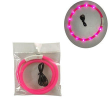 Load image into Gallery viewer, USB LED dog flashing collars 🐾🐶🖲⚡️🔥 - PupiPlace