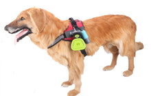 将图片加载到图库查看器，Custom-ID dog harness for small, medium and big dogs 🤩🐕🐕‍🦺🐩🦺 - PupiPlace