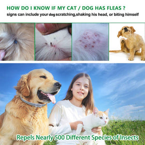 Herbal Pet Collar Anti-Flea against cat and dog ticks 🦮🦟🚫 - PupiPlace