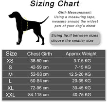 Carica l&#39;immagine nel visualizzatore di Gallery, Custom-ID Dog Harness for small, medium and big dog breeds 🐕🐕‍🦺🦮 - PupiPlace