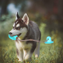 Carica l&#39;immagine nel visualizzatore di Gallery, bite dog chewing ball 🐶👌🪀 - PupiPlace