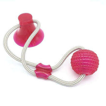 Charger l&#39;image dans la galerie, bite dog chewing ball 🐶👌🪀 - PupiPlace