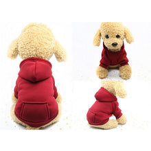 Load image into Gallery viewer, Fashion warm dog hoodies 🐶🐾🐕🧸🤩 - PupiPlace
