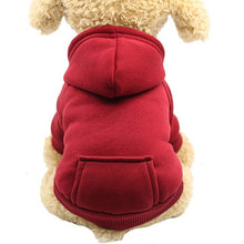 Charger l&#39;image dans la galerie, Fashion warm dog hoodies 🐶🐾🐕🧸🤩 - PupiPlace