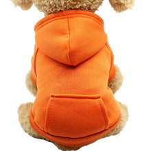 将图片加载到图库查看器，Fashion warm dog hoodies 🐶🐾🐕🧸🤩 - PupiPlace