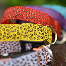 Load image into Gallery viewer, The leopard dog led collar 🐯🐶🔥 - PupiPlace
