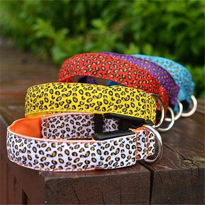 The leopard dog led collar 🐯🐶🔥 - PupiPlace