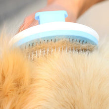 将图片加载到图库查看器，Cat/dog brush hair removal for pet grooming 🪒😻🐶 - PupiPlace