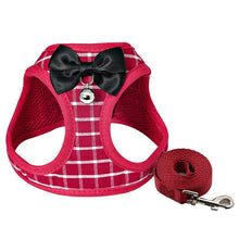 Cargar imagen en el visor de la galería, Classy puppy/cat harness with leash, bow tie and bell 😻🐶🐾🦺🎀 - PupiPlace