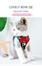 将图片加载到图库查看器，Classy puppy/cat harness with leash, bow tie and bell 😻🐶🐾🦺🎀 - PupiPlace